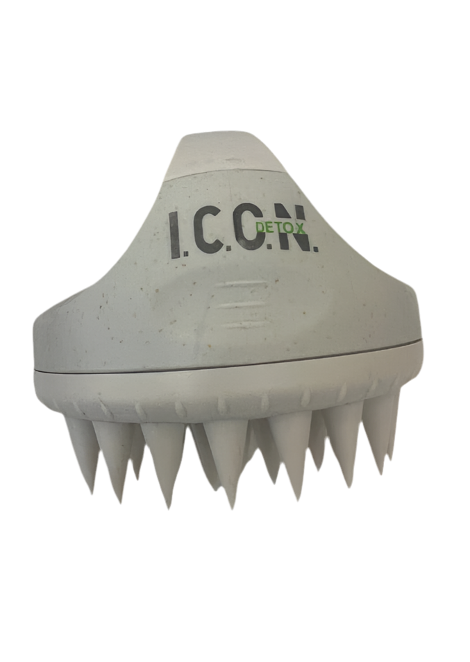 BROSSE DETOX ICON
