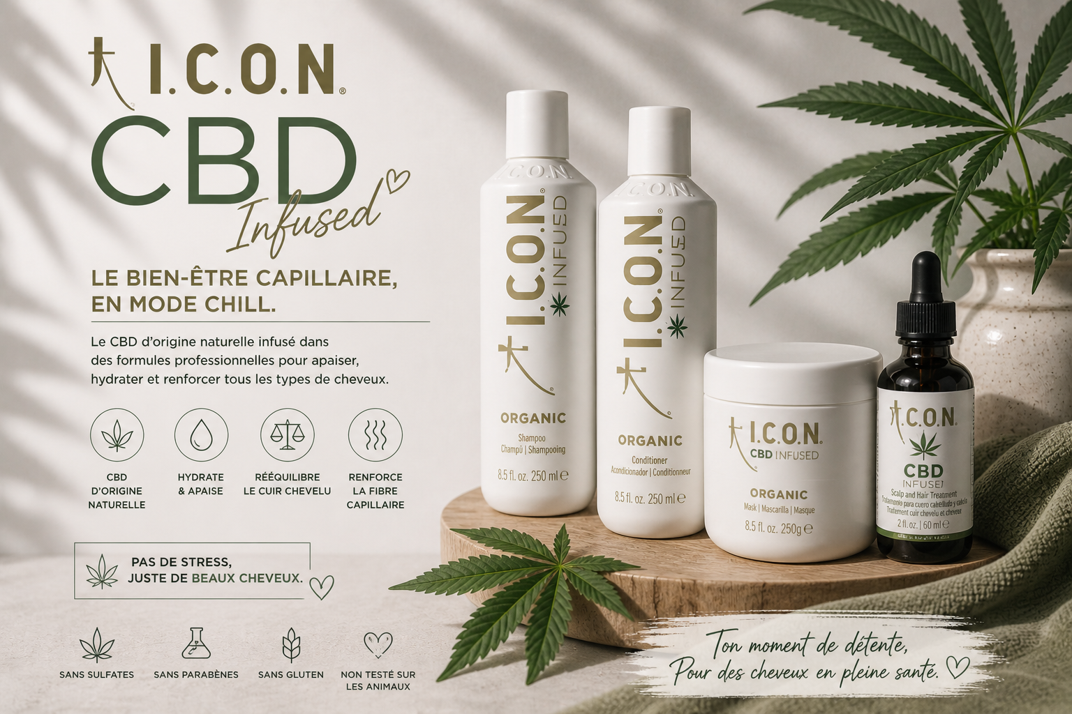 🌿 Kelly, ses cheveux… et cette histoire un peu chaotique