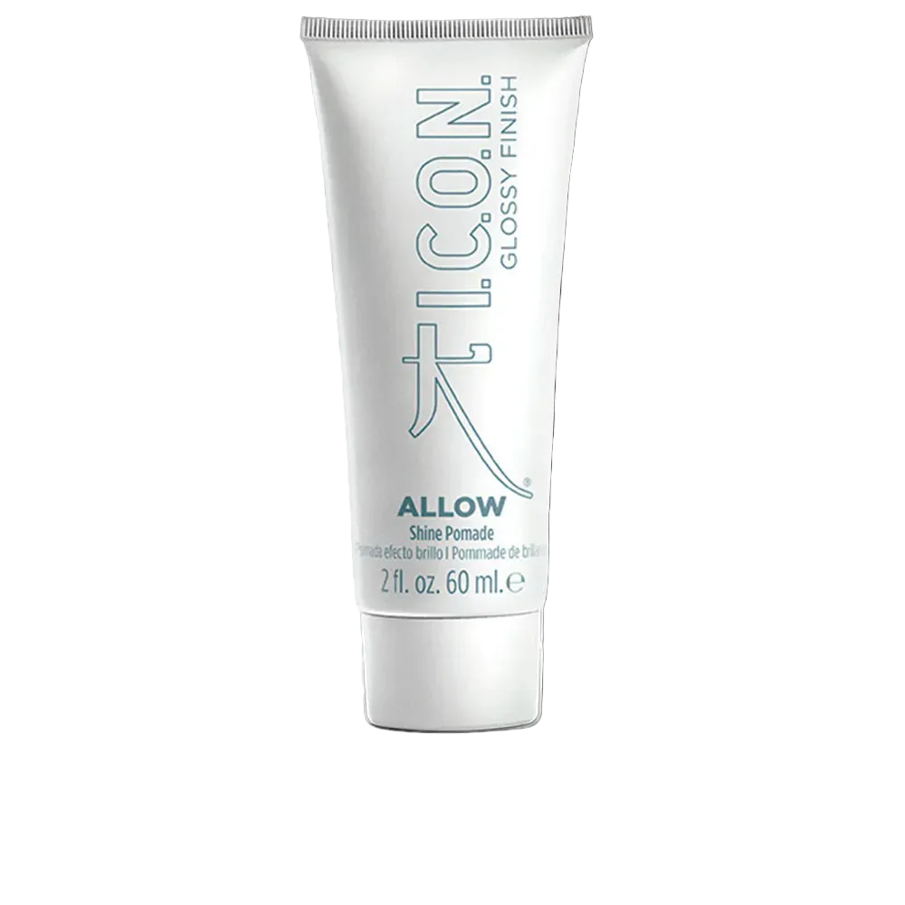I.C.O.N. Allow – Pommade brillance effet mouillé | 60 ml